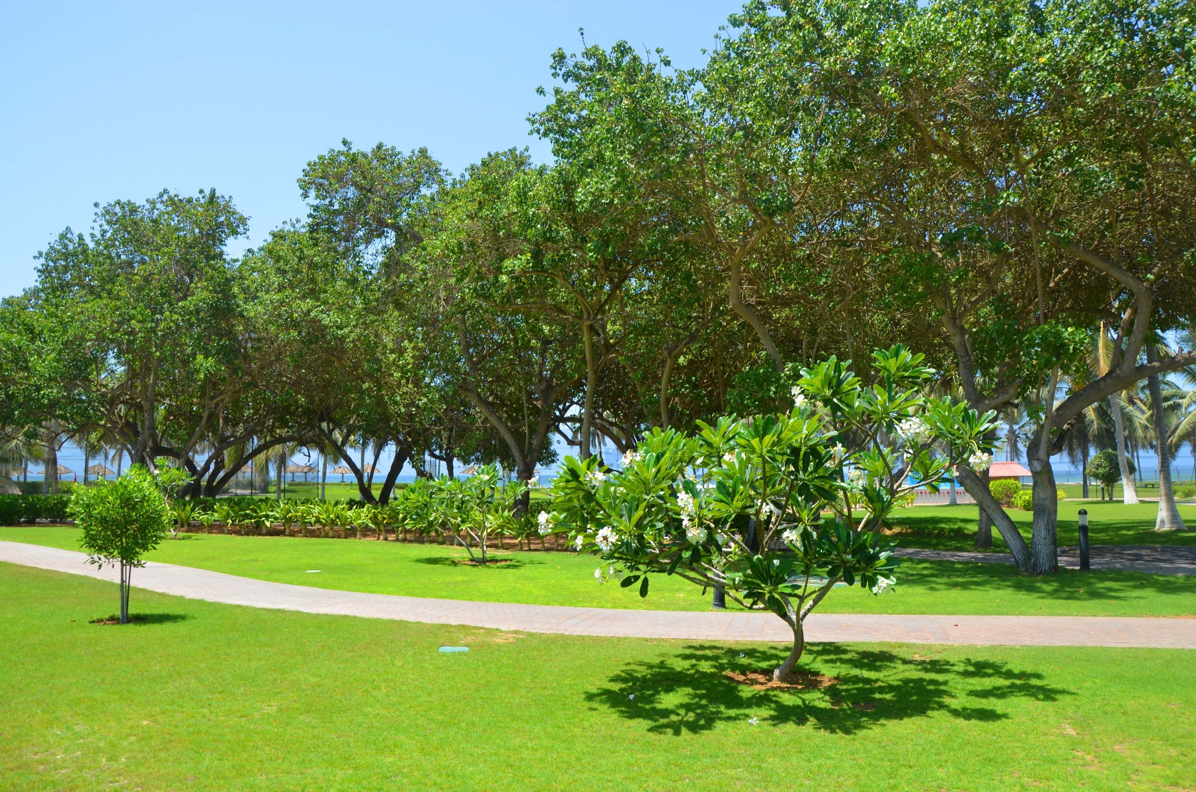 standard room, 1 king bed, smoking, garden view | property amenity