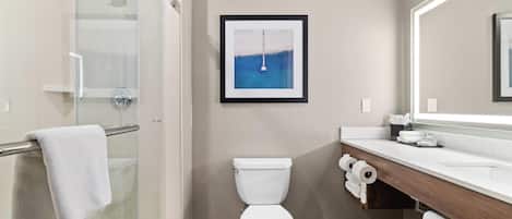 A modern bathroom with a glass shower enclosure, a toilet, and a vanity with a mirror.
