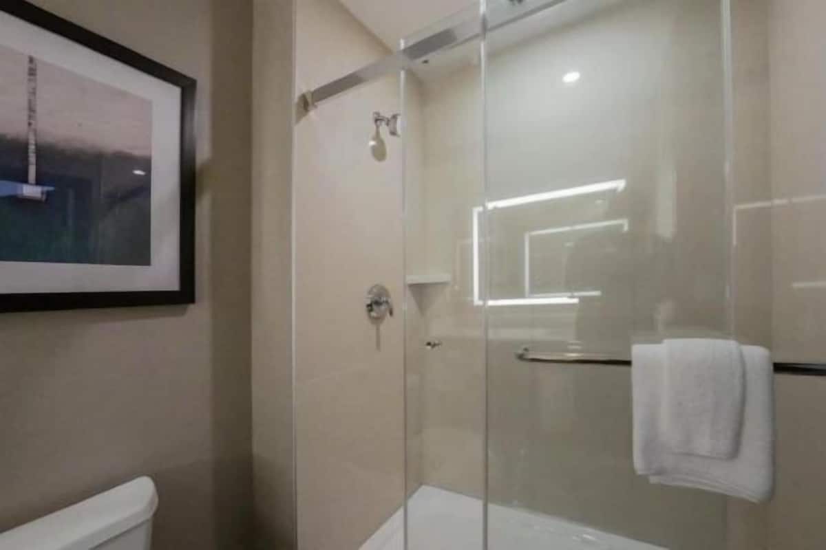 Eco-friendly toiletries, hair dryer, towels, soap