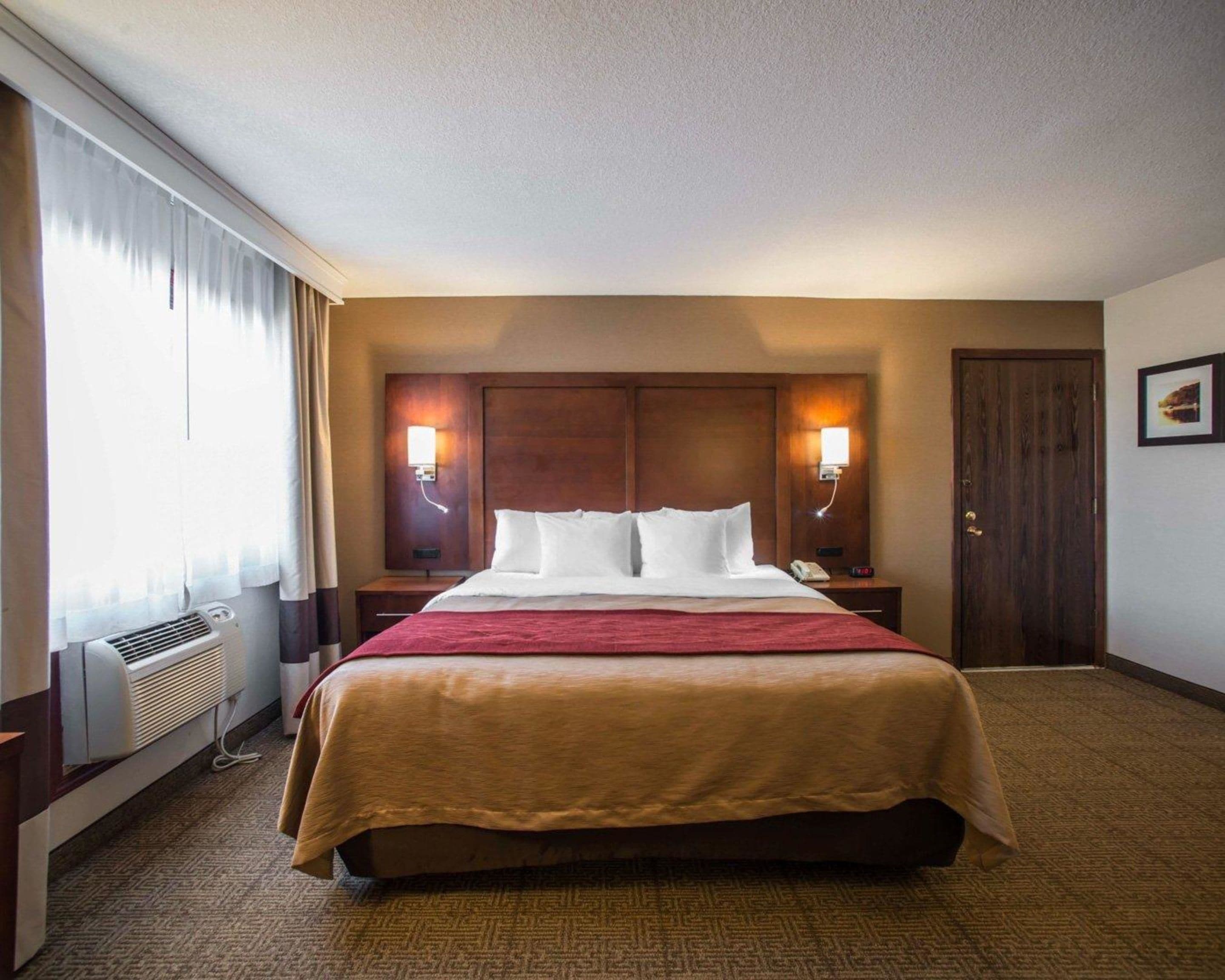 A hotel room with a large bed, two bedside tables, a wall-mounted lamp, a door, and a window with curtains.
