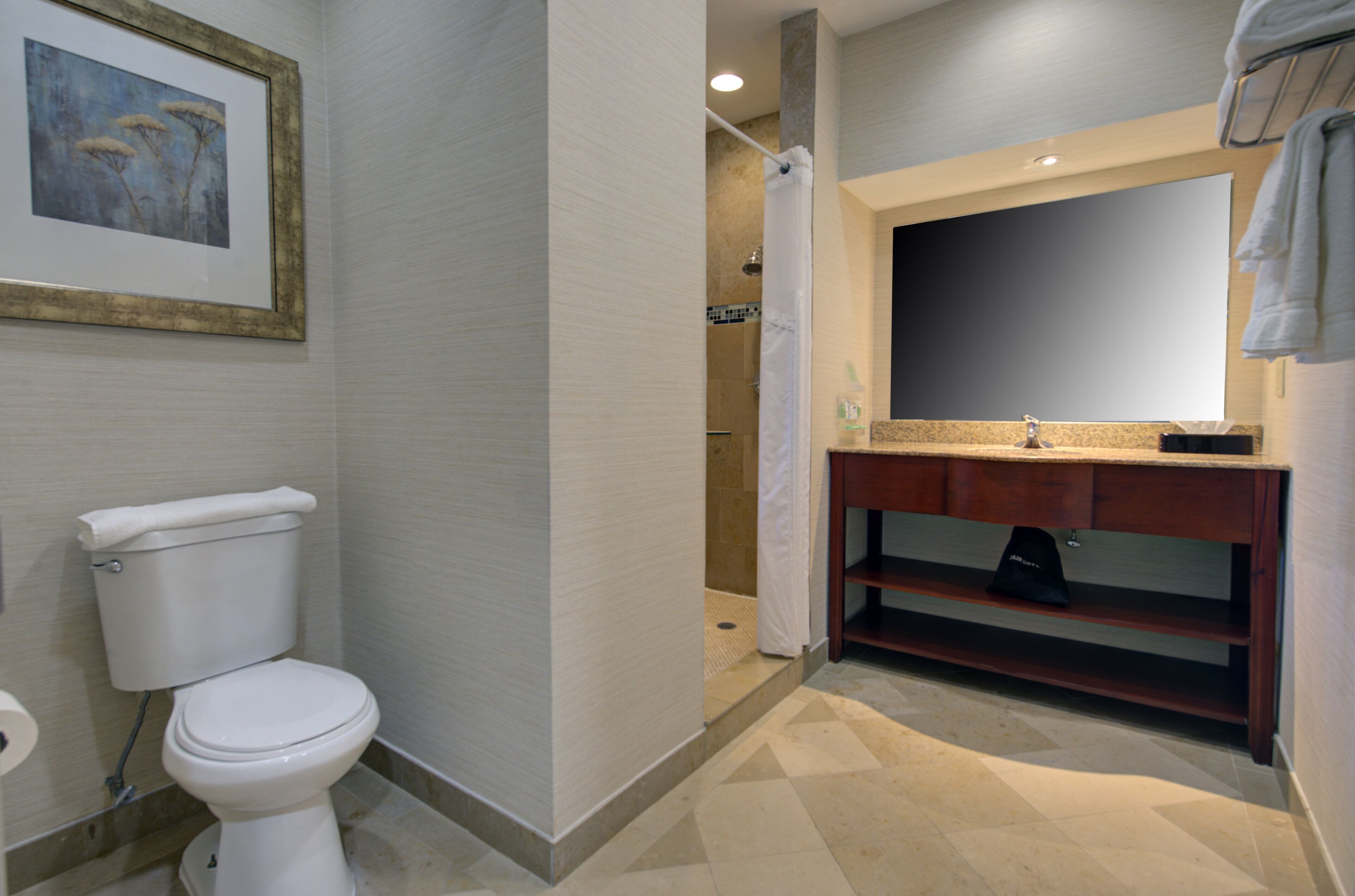 A bathroom with a toilet, a shower, a sink, and a mirror.