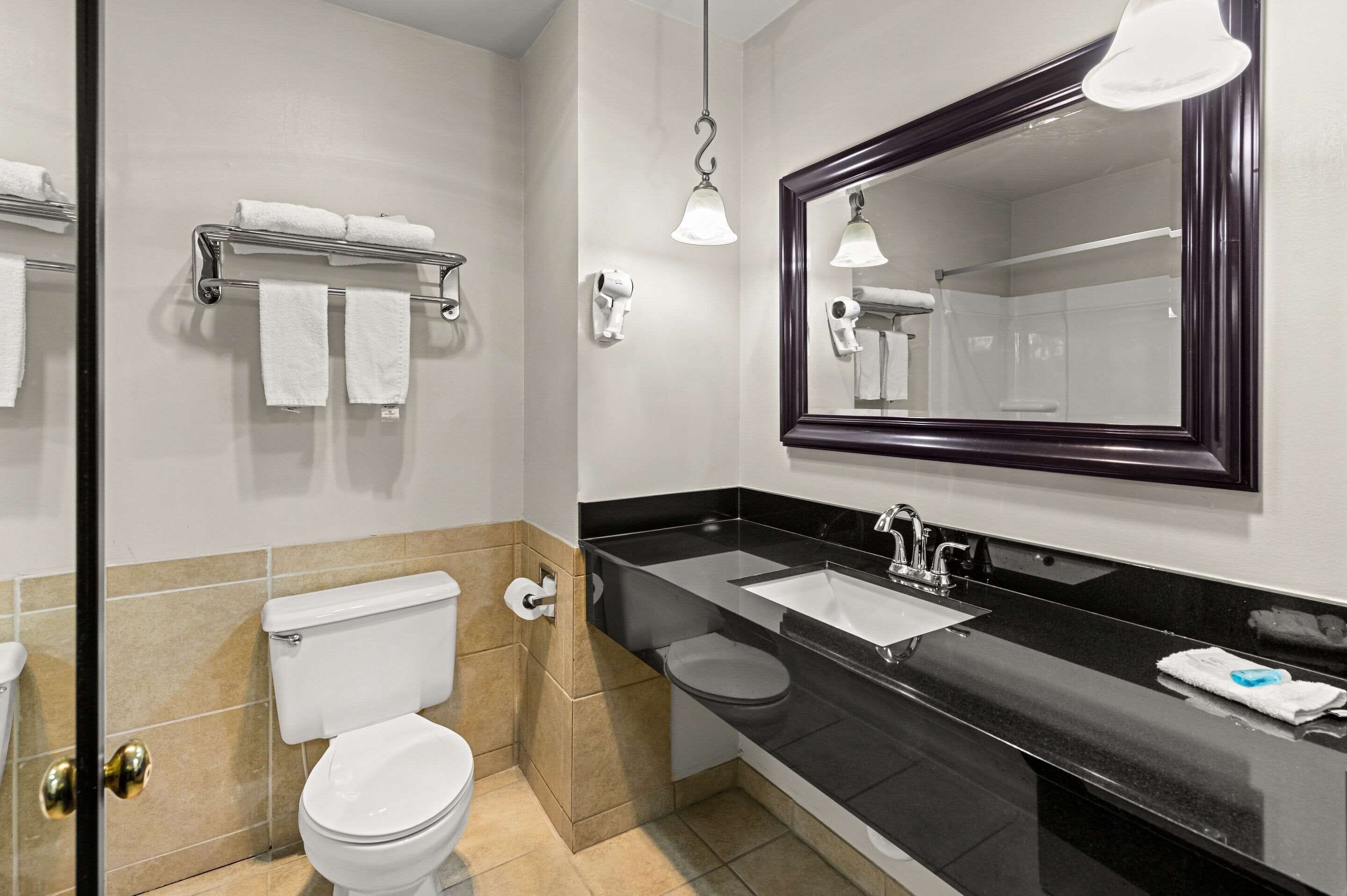 A modern bathroom with a toilet, sink, and mirror.