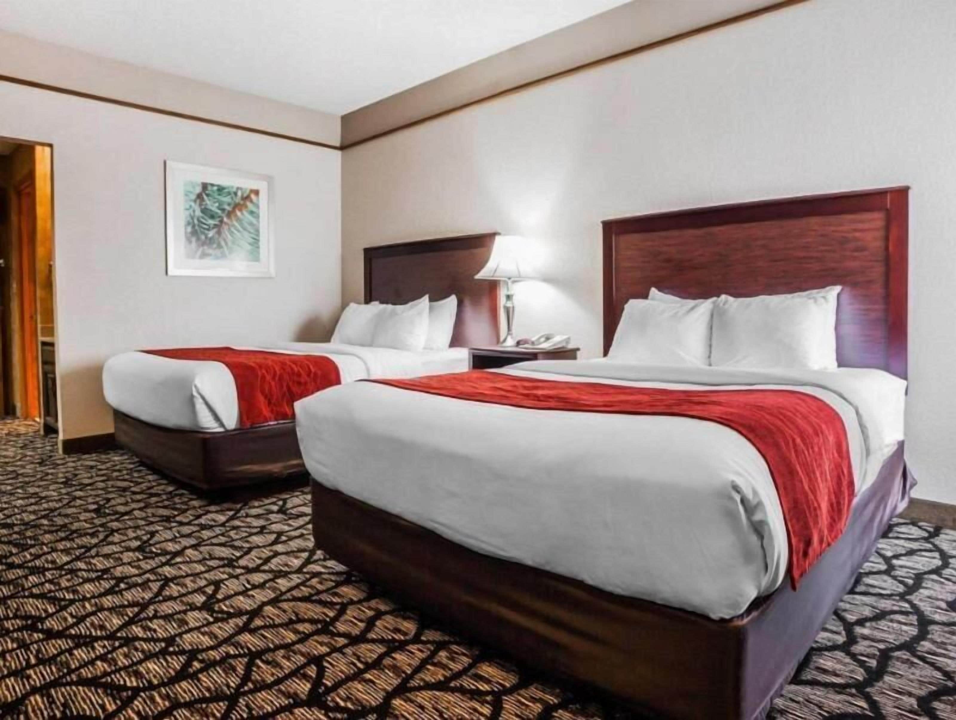 Individuel indretning, mørklægningsgardiner, strygejern/strygebræt