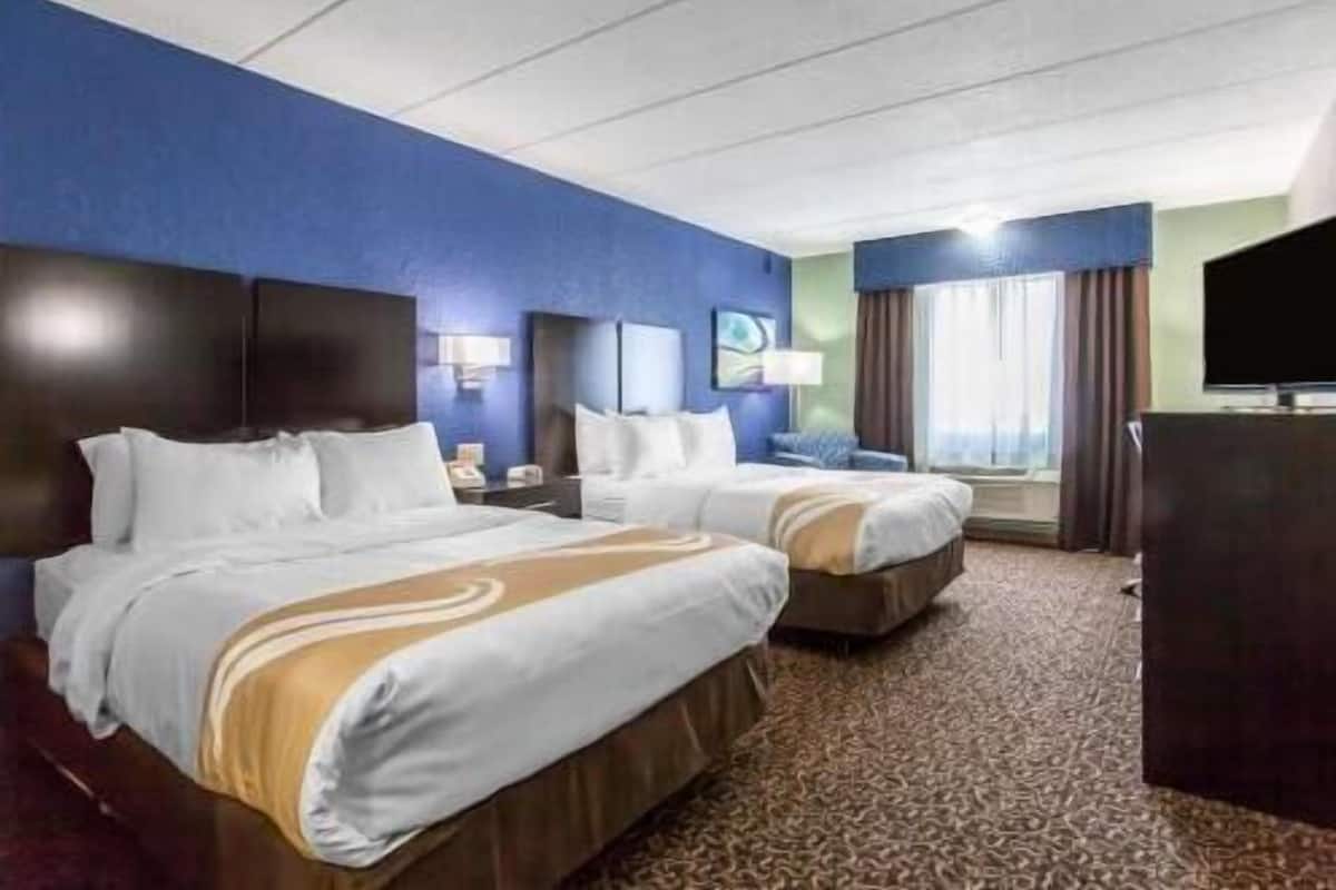 Ropa de cama de alta calidad y cortinas blackout