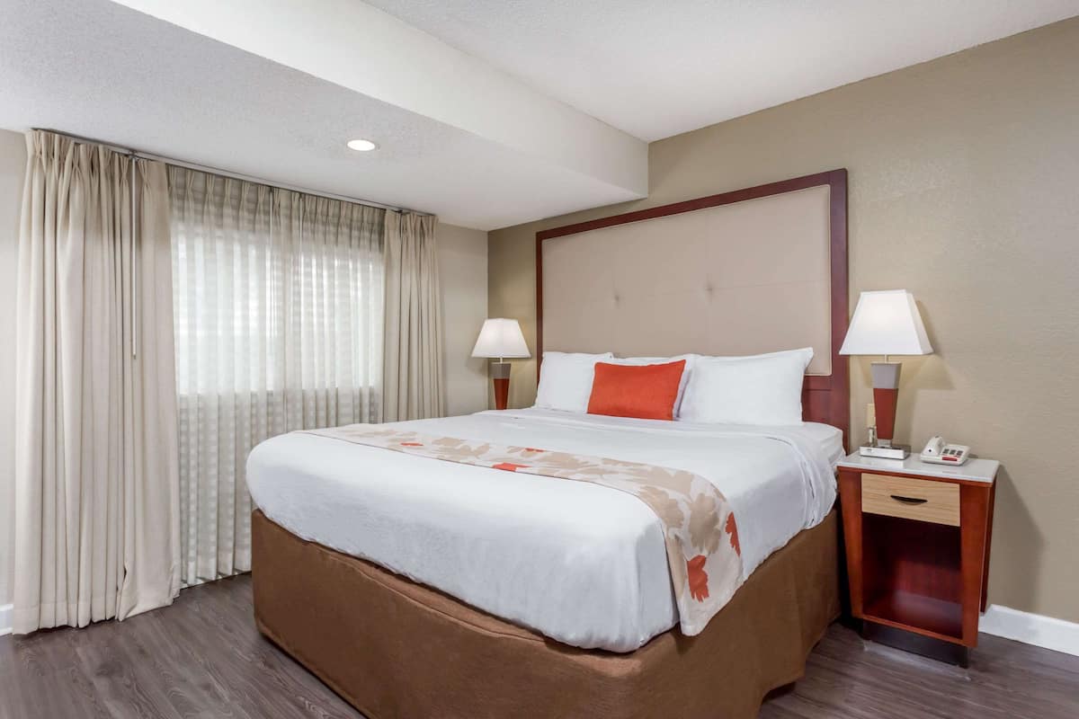 Egyptian cotton sheets, premium bedding, down comforters, pillowtop beds