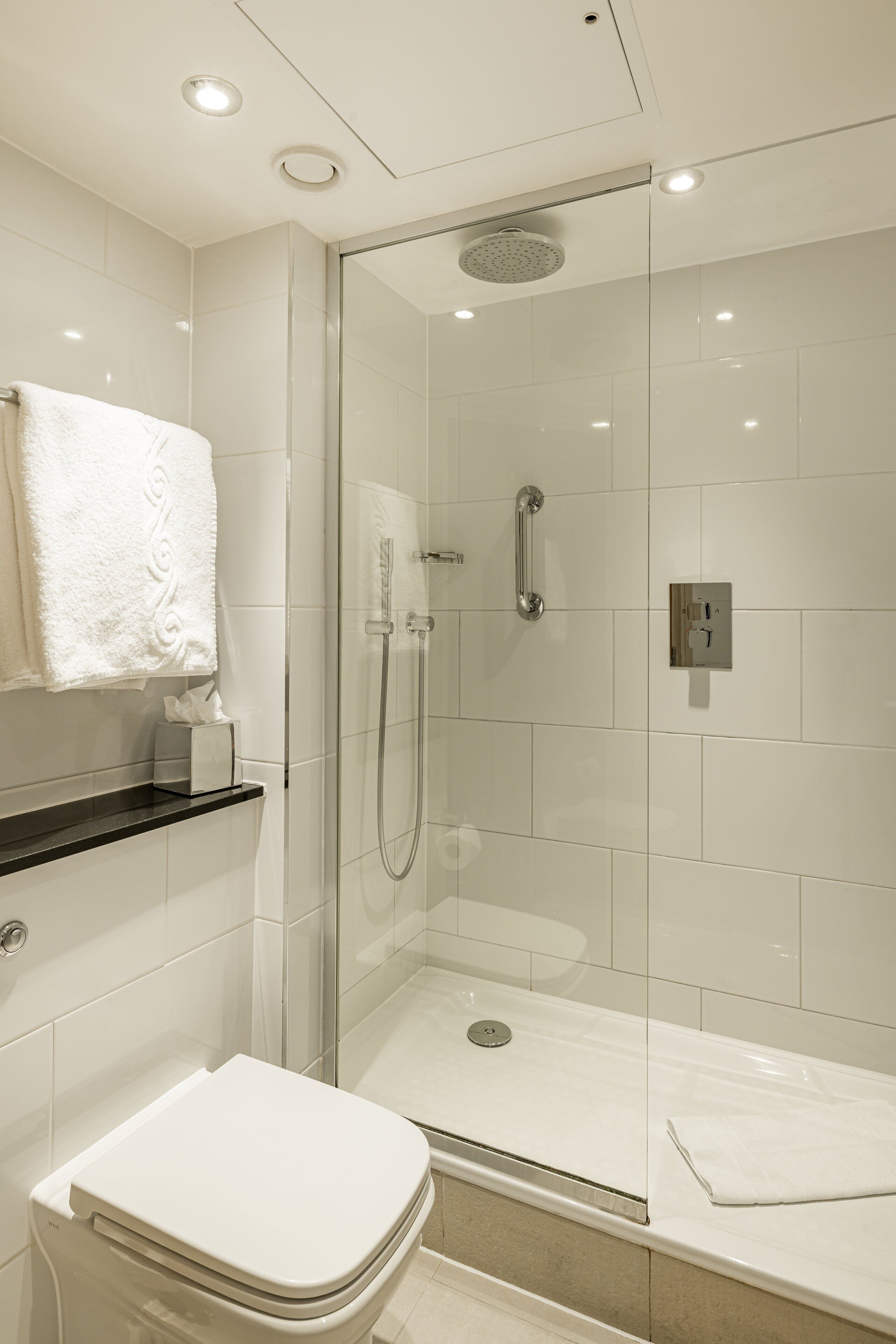 A modern bathroom with a glass-enclosed shower, a white toilet, and a towel rack.
