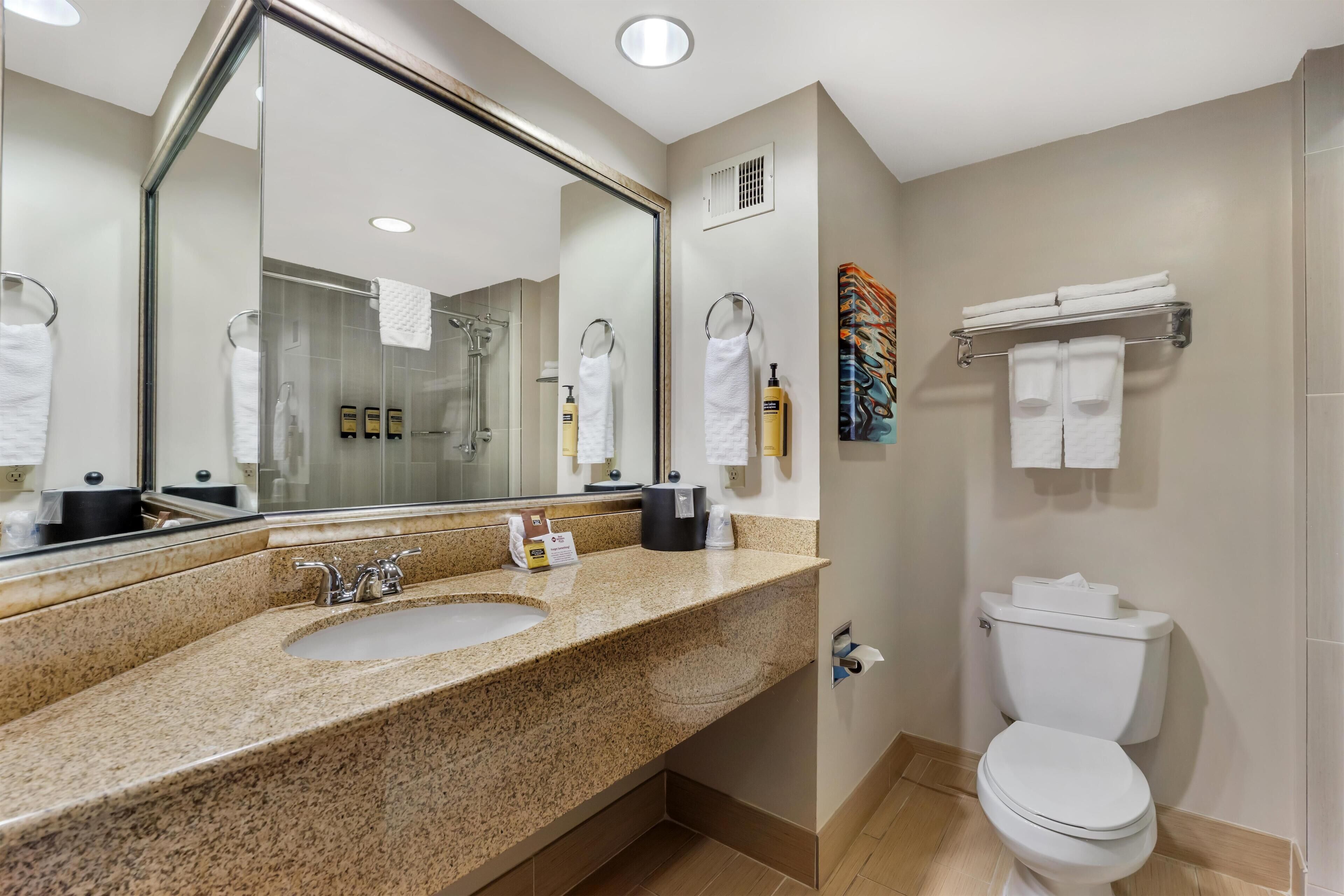 Business Room, 1 King Bed, Non Smoking, Microwave | Bathroom | Eco-friendly toiletries, hair dryer, towels, soap
