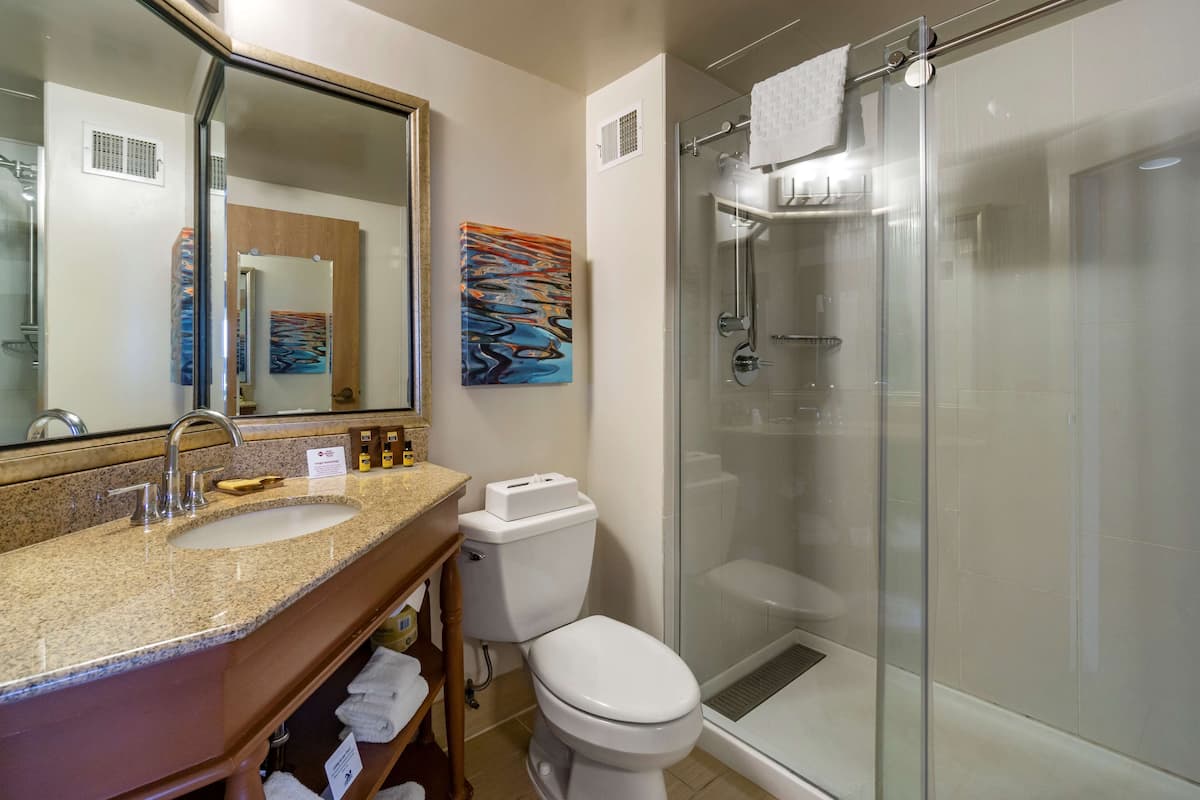 eco-friendly toiletries, hair dryer, towels, soap