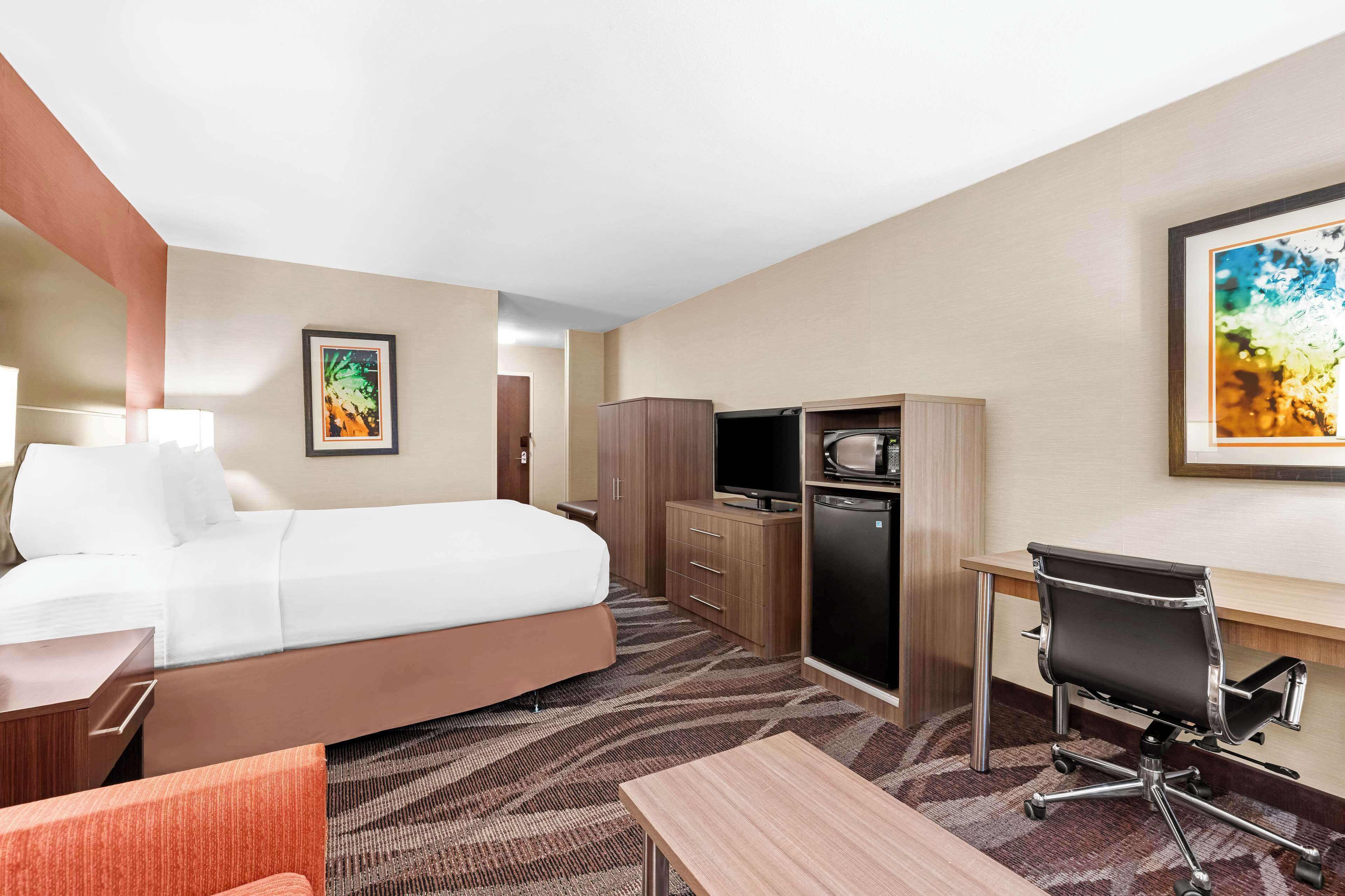 standard room, 1 queen bed, accessible, bathtub (with sofabed) | desk, laptop workspace, blackout curtains, iron/ironing board