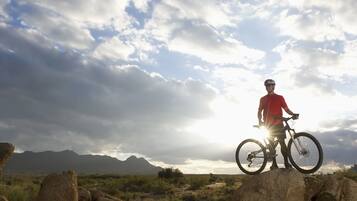 A person standing on a rock with a bicycle, with mountains and a cloudy sky in the background.