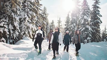 Un grupo de personas caminando en un bosque nevado.
