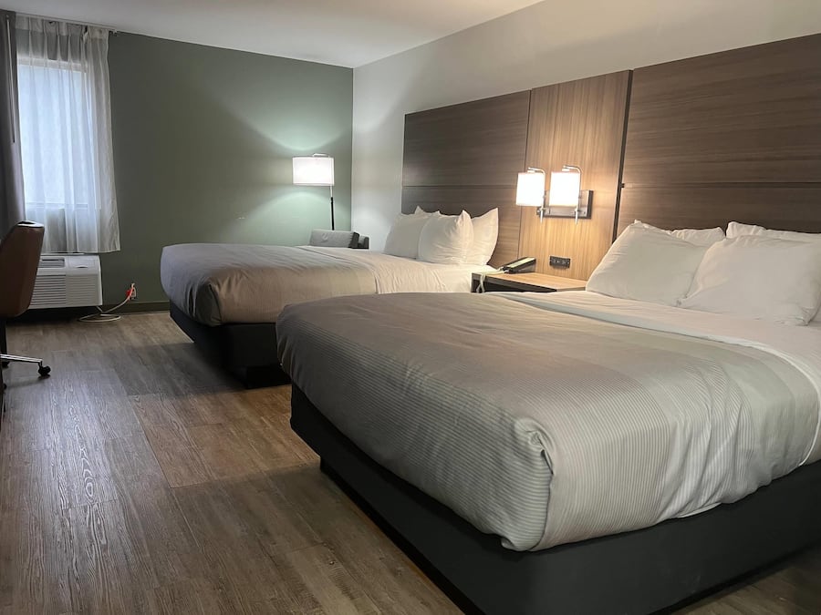 Habitación estándar, 2 camas de matrimonio, no fumadores | Escritorio, tabla de planchar con plancha, wifi gratis y ropa de cama