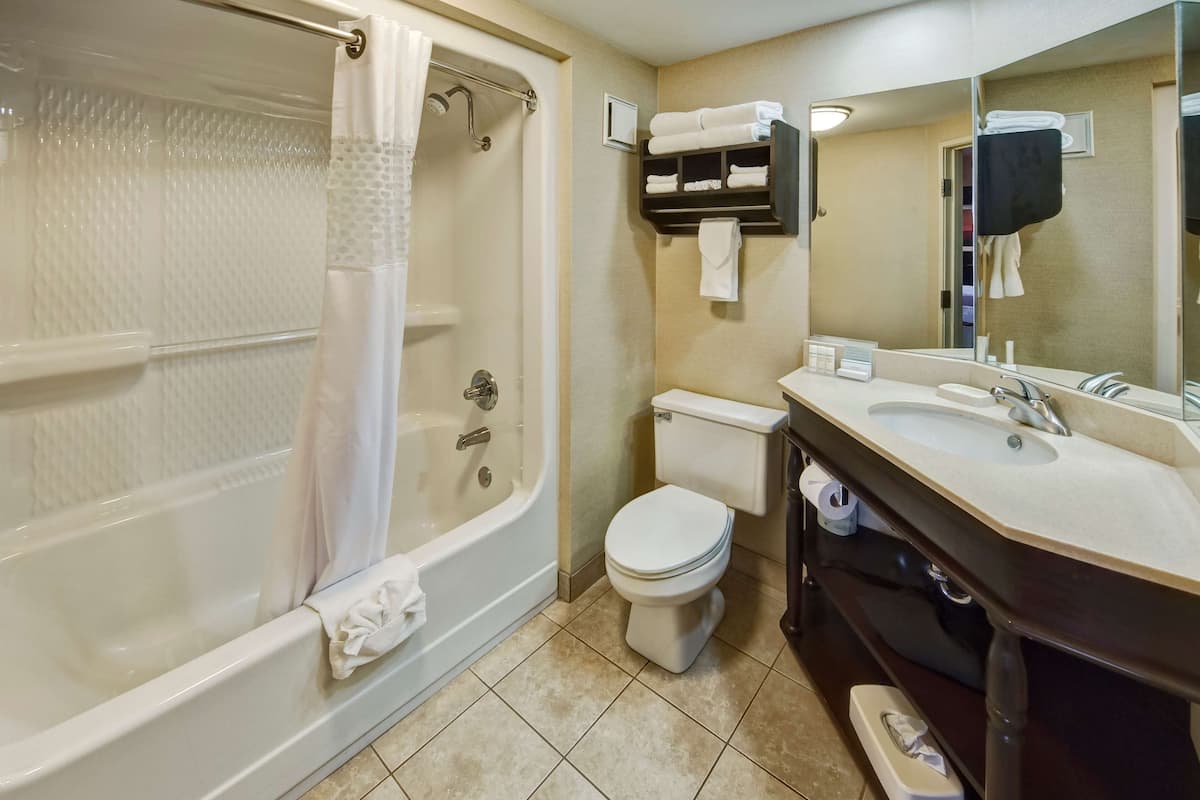 combined shower/bathtub, hair dryer, towels