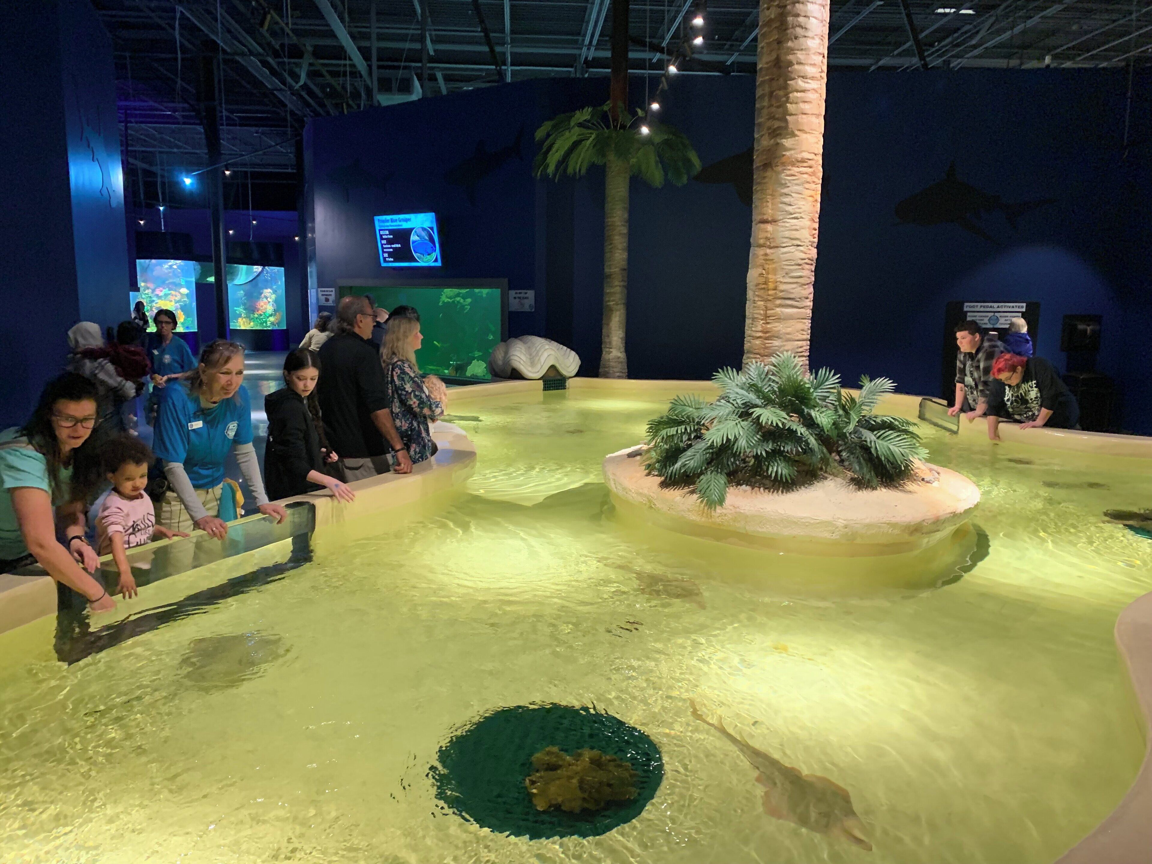 A museum exhibit with a large aquarium, palm trees, and informational screens.