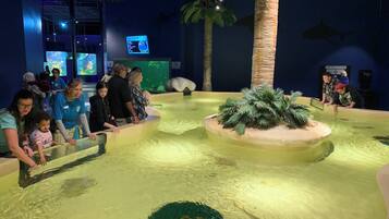 A museum exhibit with a large aquarium, palm trees, and informational screens.