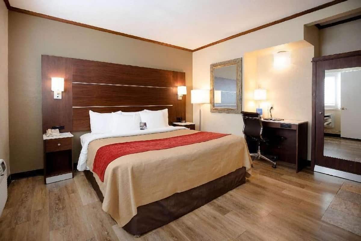 Habitación de hotel con cama, mesita de noche, escritorio, silla y espejo.