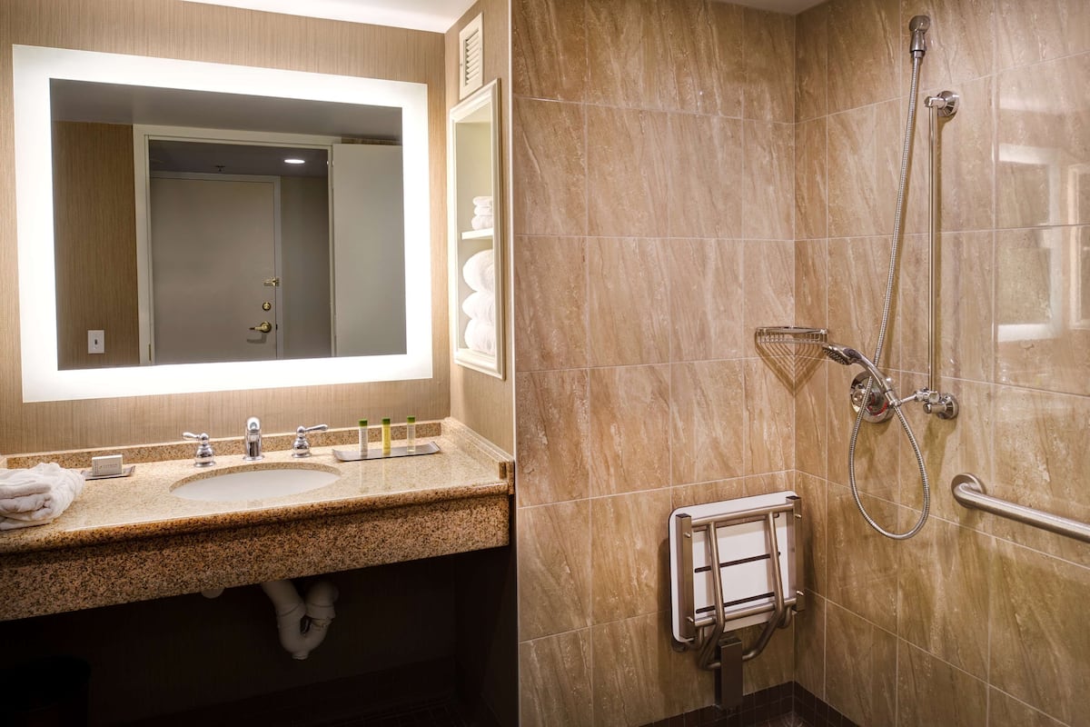 A bathroom with a sink, mirror, towel rack, and a shower with a handheld showerhead.