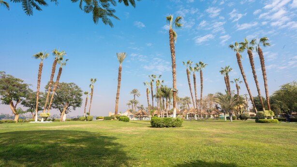A park with tall palm trees and a clear blue sky. - Jolie Ville Hotel & Spa Kings Island Luxor (Luxor)