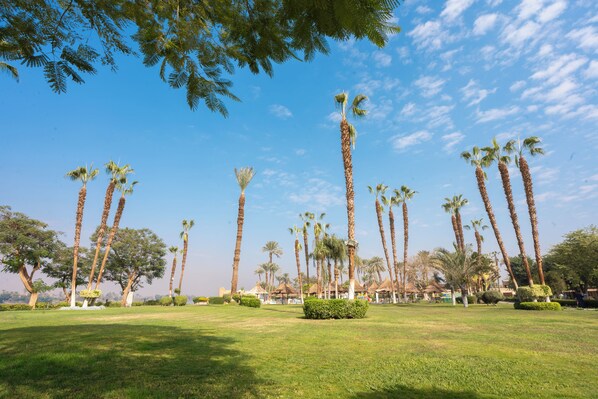 A park with tall palm trees and a clear blue sky. - Jolie Ville Hotel & Spa Kings Island Luxor (Luxor)