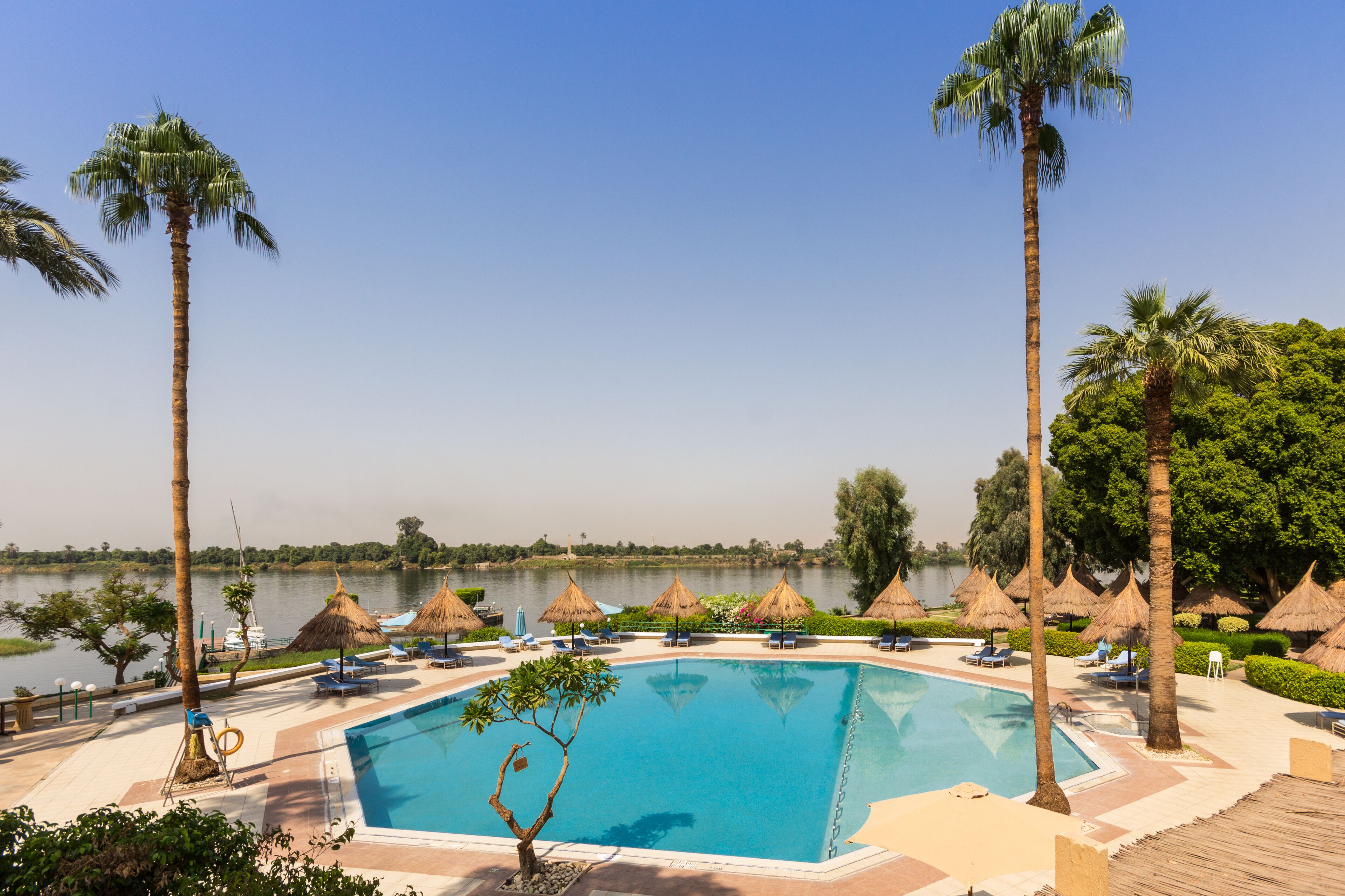 A pool area with a clear view of the water, surrounded by palm trees and thatched umbrellas.