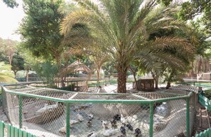 حديقة