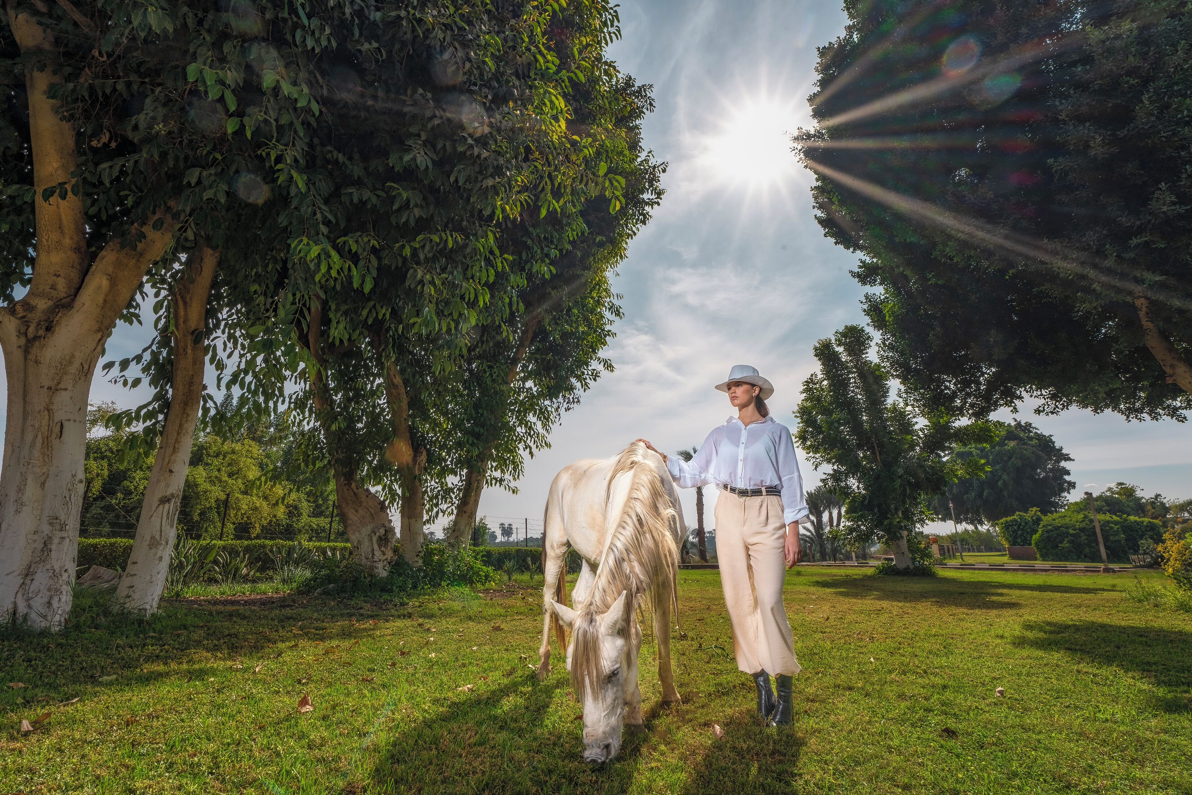 A person walking a horse in a grassy area with trees and a clear sky.