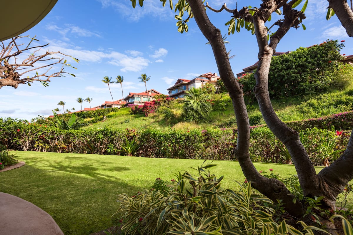 A well-maintained garden with a variety of plants and a lawn, leading to a hillside with buildings.