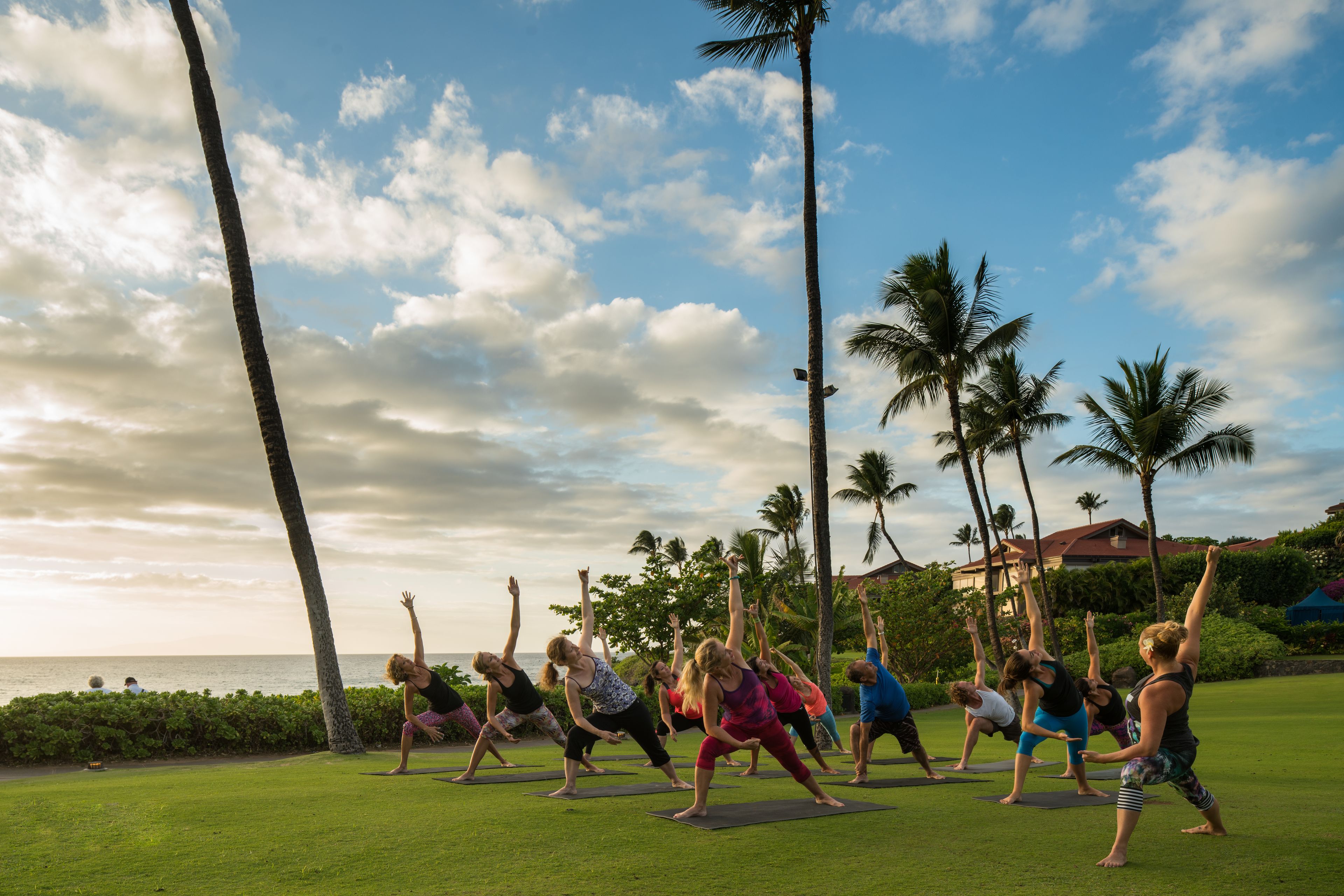 Un grupo de personas practicando yoga sobre esterillas en un entorno al aire libre, con vistas al océano y palmeras.