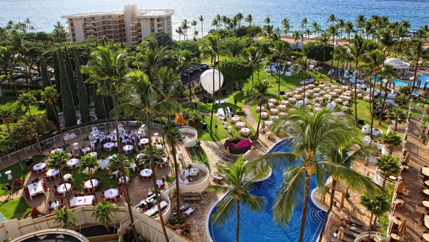 A resort with a pool, palm trees, and a view of the ocean.