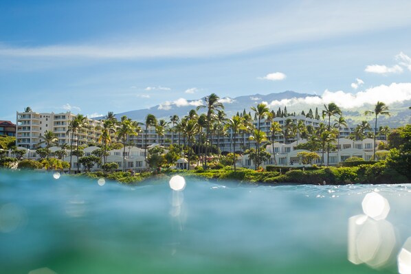 Un resort con varias edificaciones de hotel, palmeras y una vista despejada de montañas al fondo.