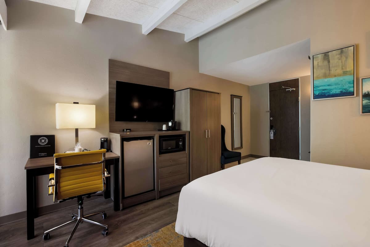 A hotel room with a bed, desk, chair, television, wardrobe, and a microwave.