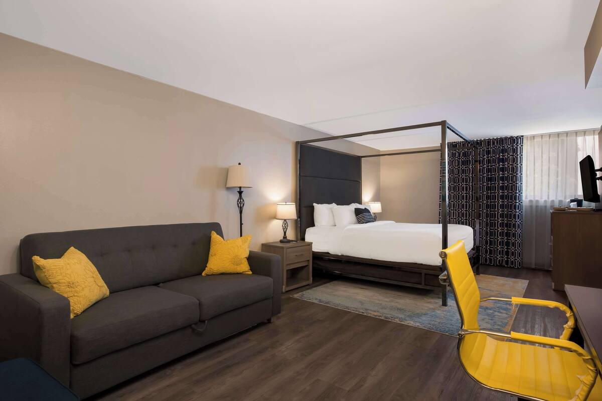 A hotel room with a bed, a sofa, a chair, a nightstand, and a lamp.