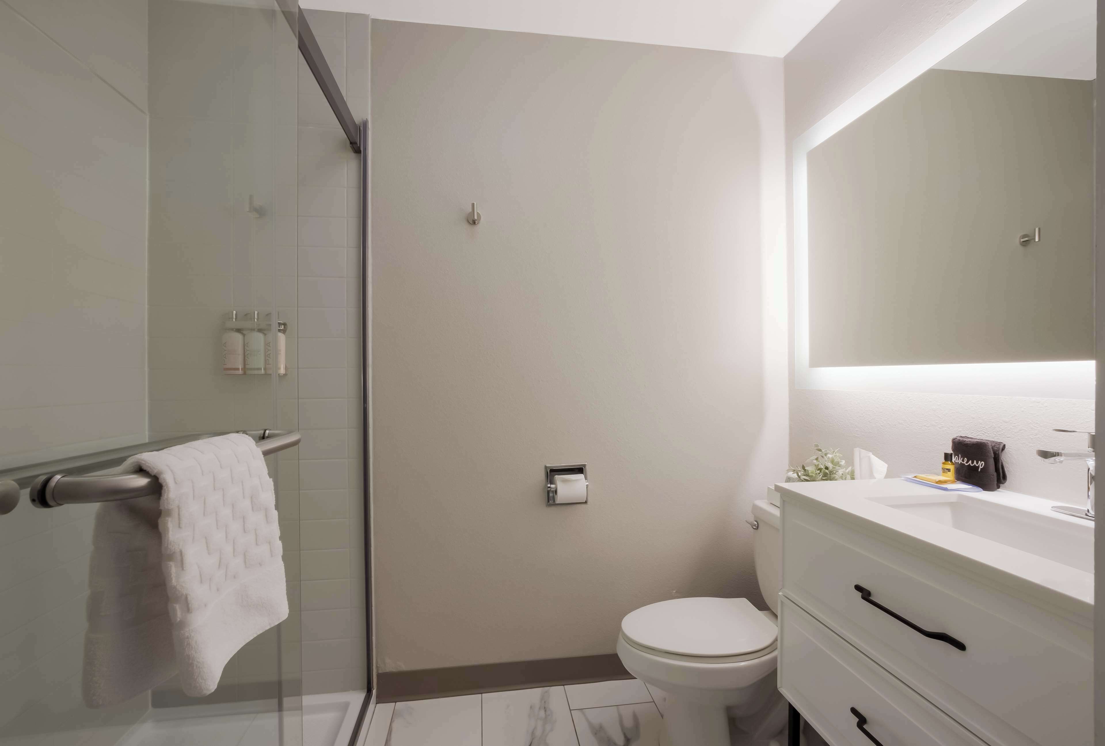 A modern bathroom with a glass shower enclosure, a toilet, and a vanity with a mirror.