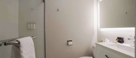 A modern bathroom with a glass shower enclosure, a toilet, and a vanity with a mirror.