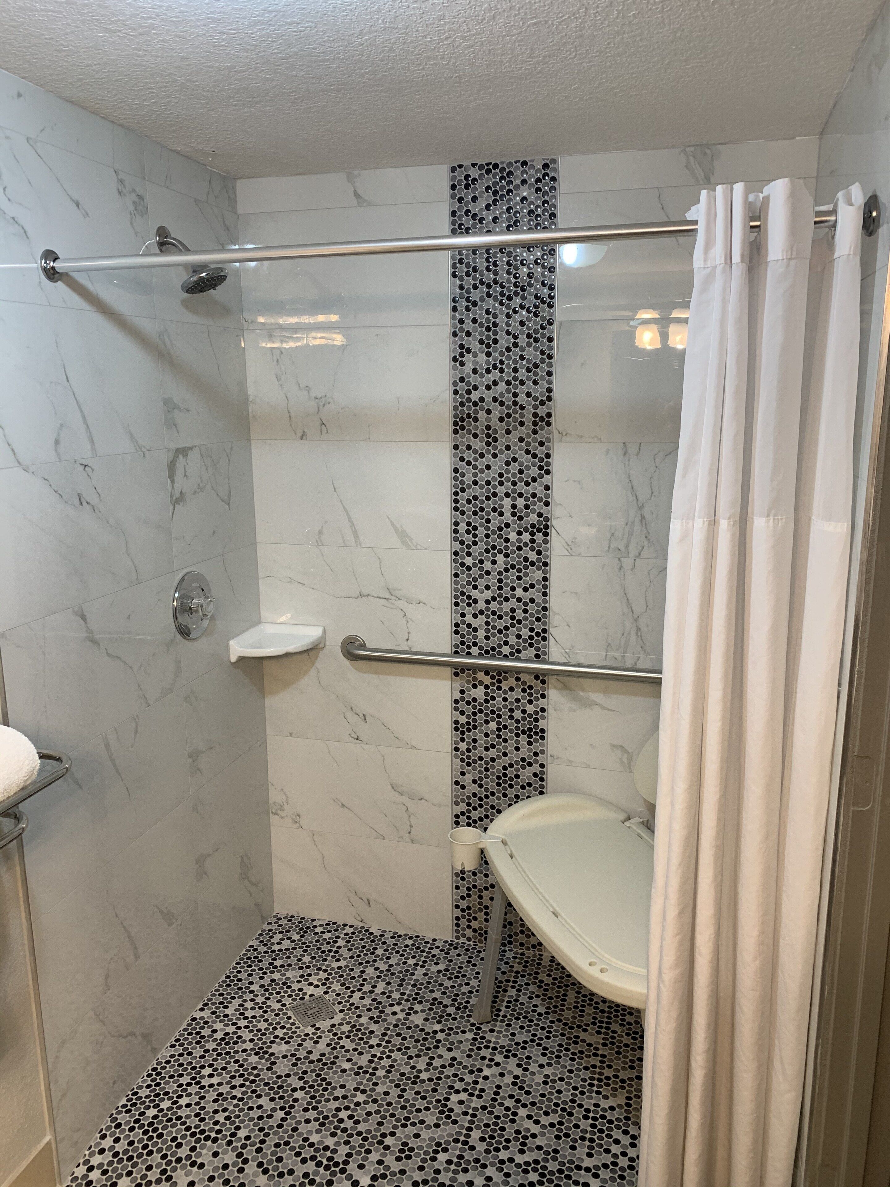 room, 1 king bed, accessible, non smoking | bathroom shower