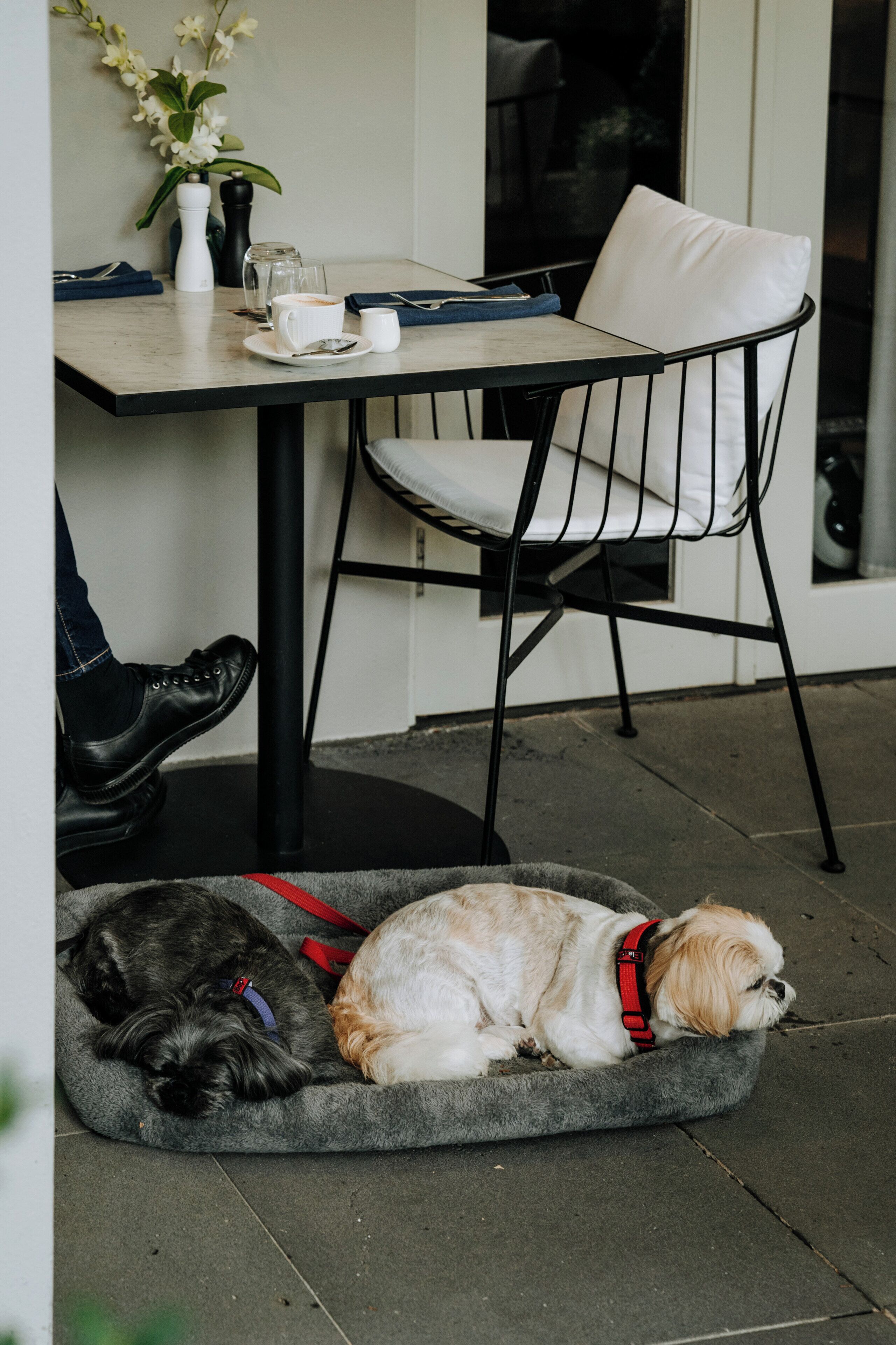 A dining area with a table, chairs, and a dog bed with two dogs.