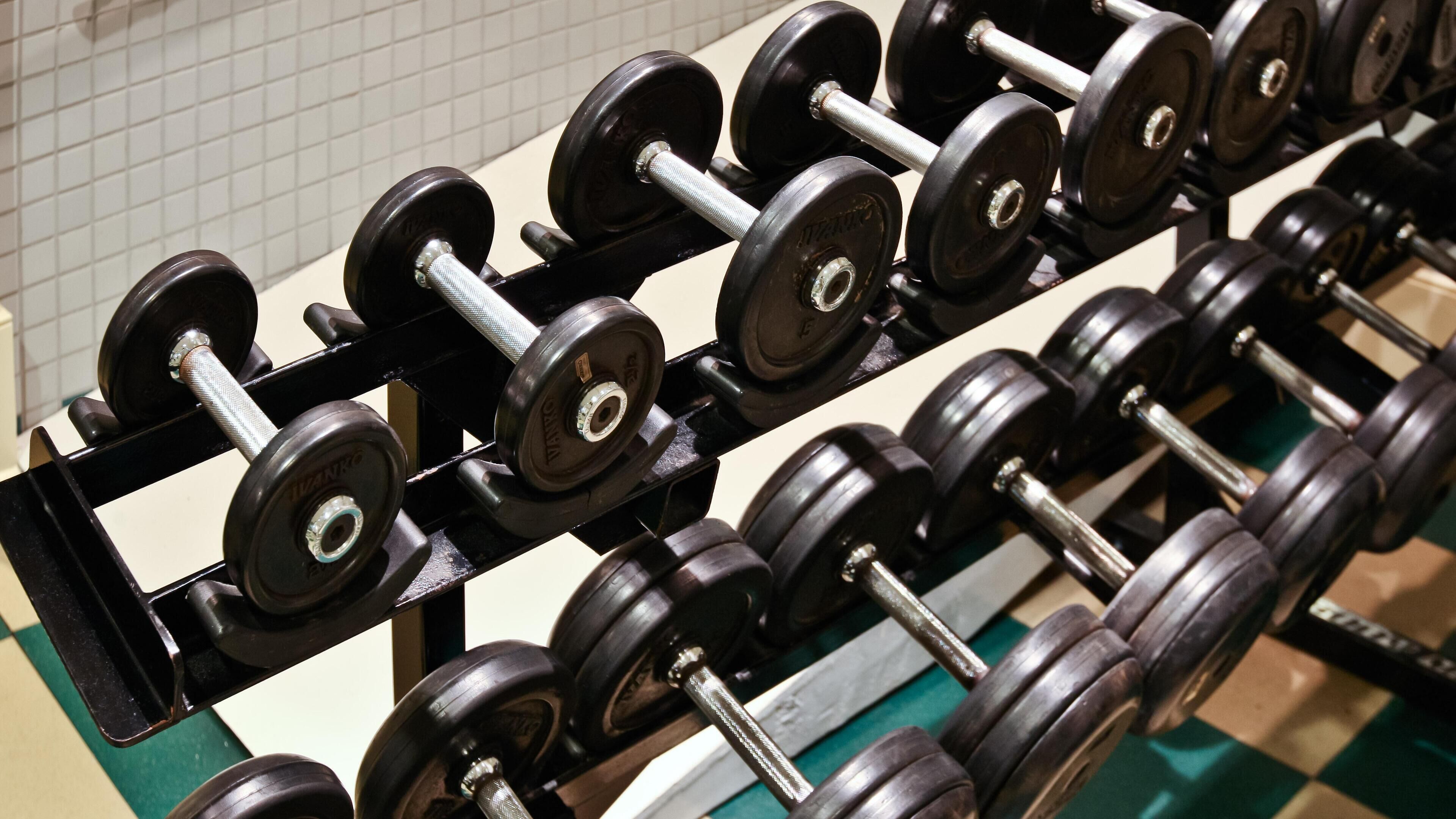 A rack of black dumbbells with silver handles, arranged in rows on a green floor.