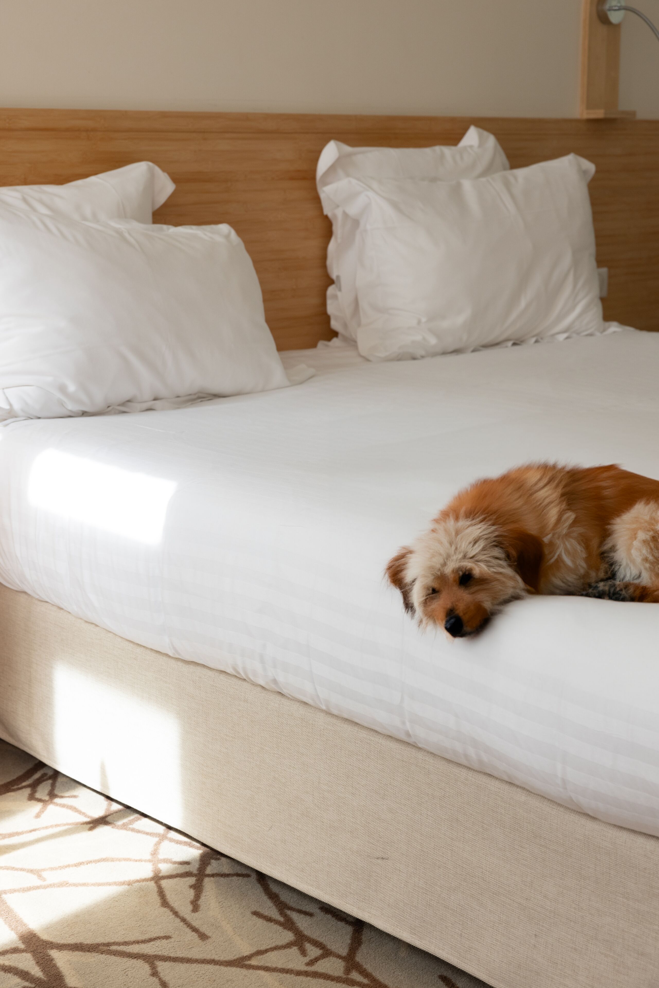 1 bedroom, in-room safe, desk, laptop workspace