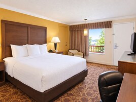 Habitación de hotel con una cama grande, un escritorio, una silla, un televisor, una lámpara y vistas al exterior.