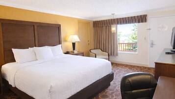 In-room safe, desk, iron/ironing board, WiFi (free)