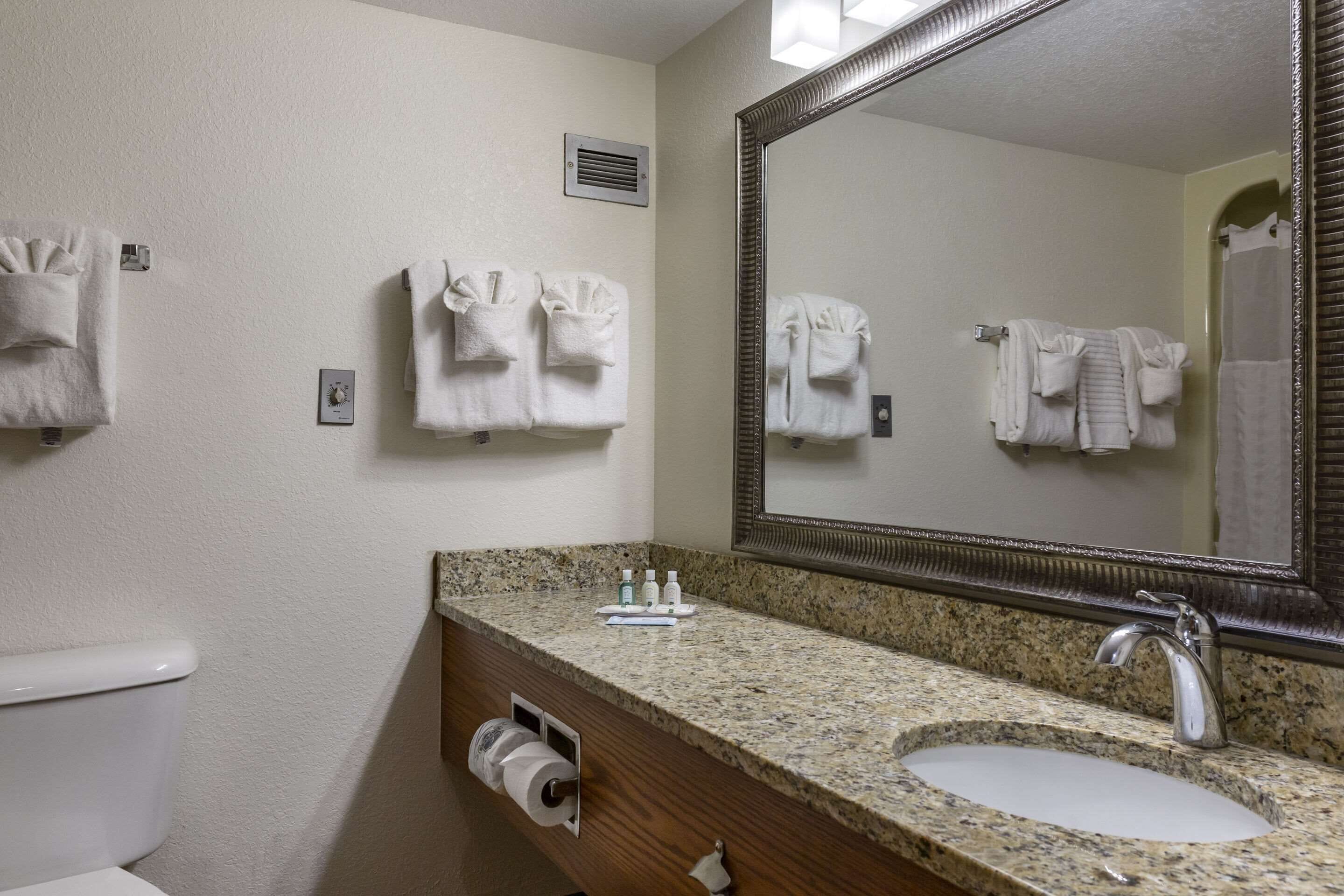 mini suite, jetted tub in bathroom | bathroom | eco-friendly toiletries, hair dryer, towels