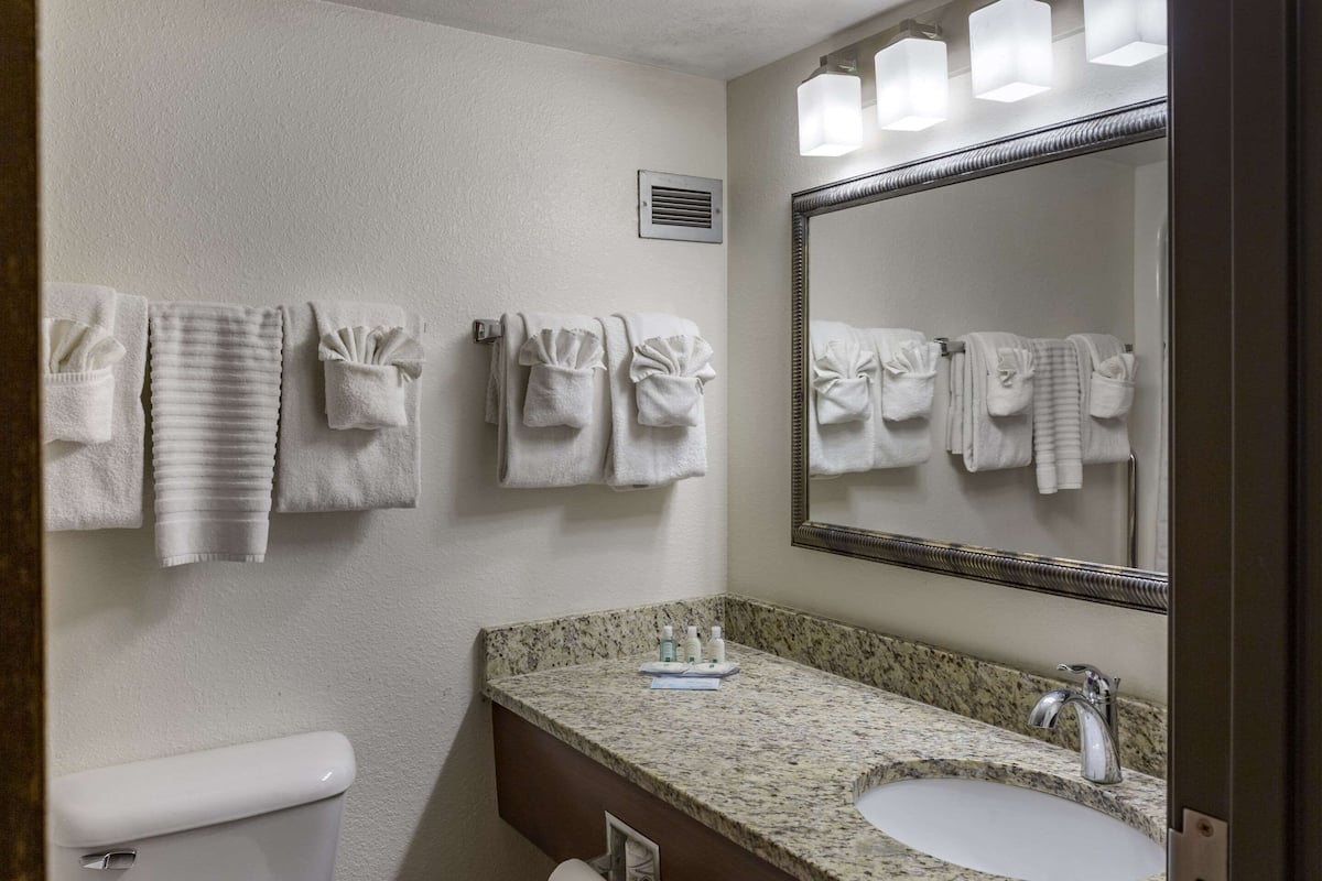 Amenidades de baño ecológicas, secadora de cabello, toallas