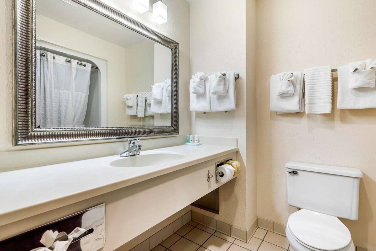A bathroom with a large mirror, a sink, a toilet, and multiple towels hanging on the wall.