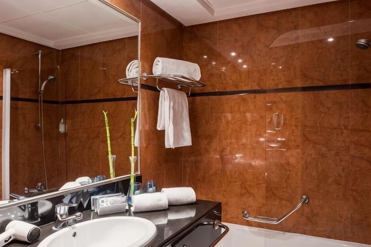 Badkamer | Een haardroger, een bidet, handdoeken
