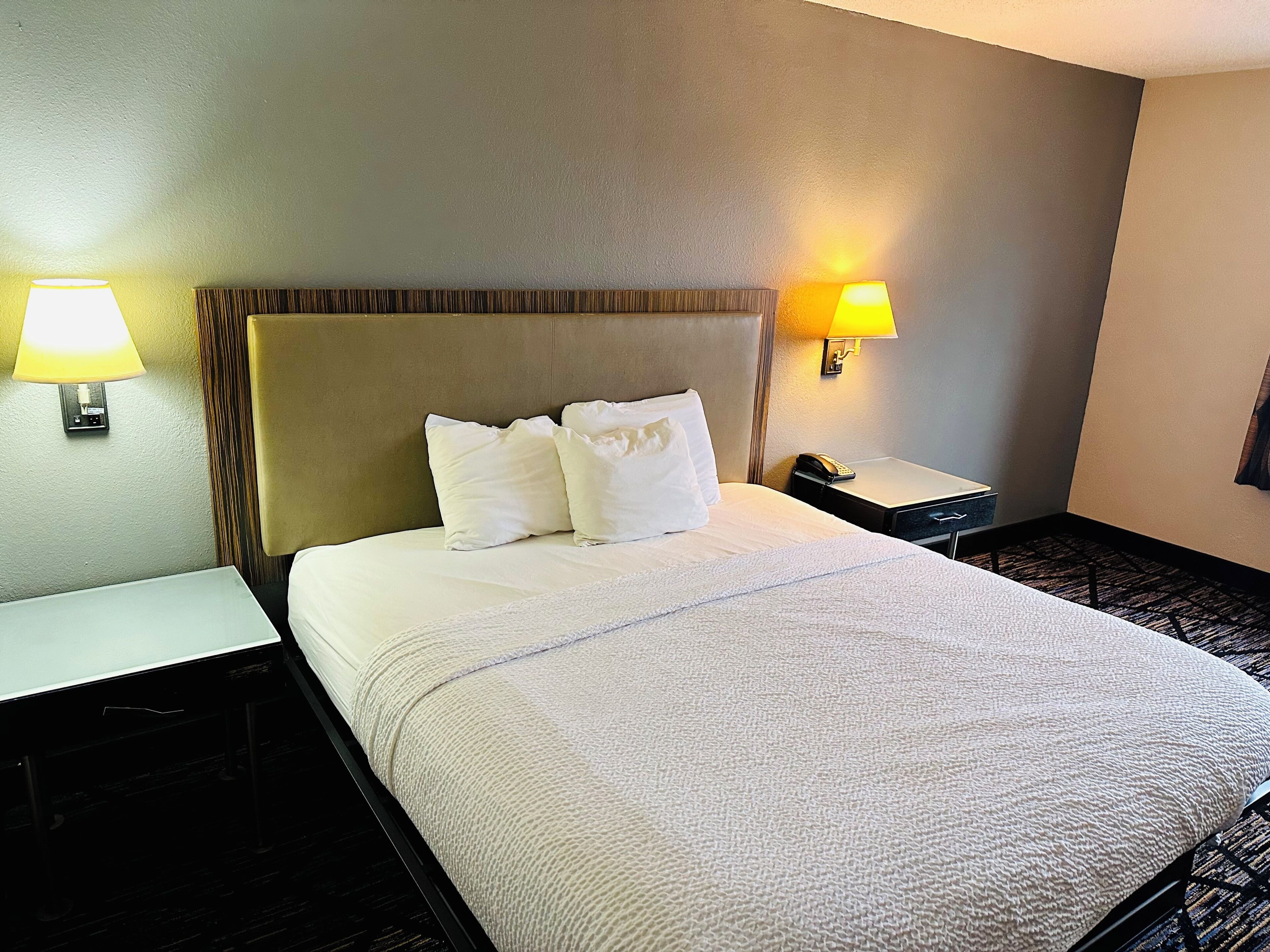 Deluxe Single Room, 1 King Bed | Desk, iron/ironing board, free WiFi, bed sheets