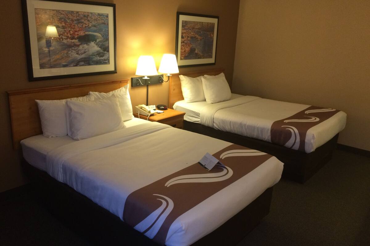 Two double beds with white linens and brown decorative borders, a nightstand with a lamp, and two framed artworks on the wall.