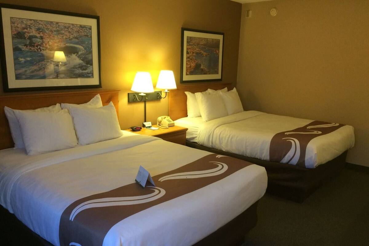 A hotel room with two beds, each with white bedding and a brown decorative pattern. There are two bedside lamps, a phone, and a framed picture on the wall.
