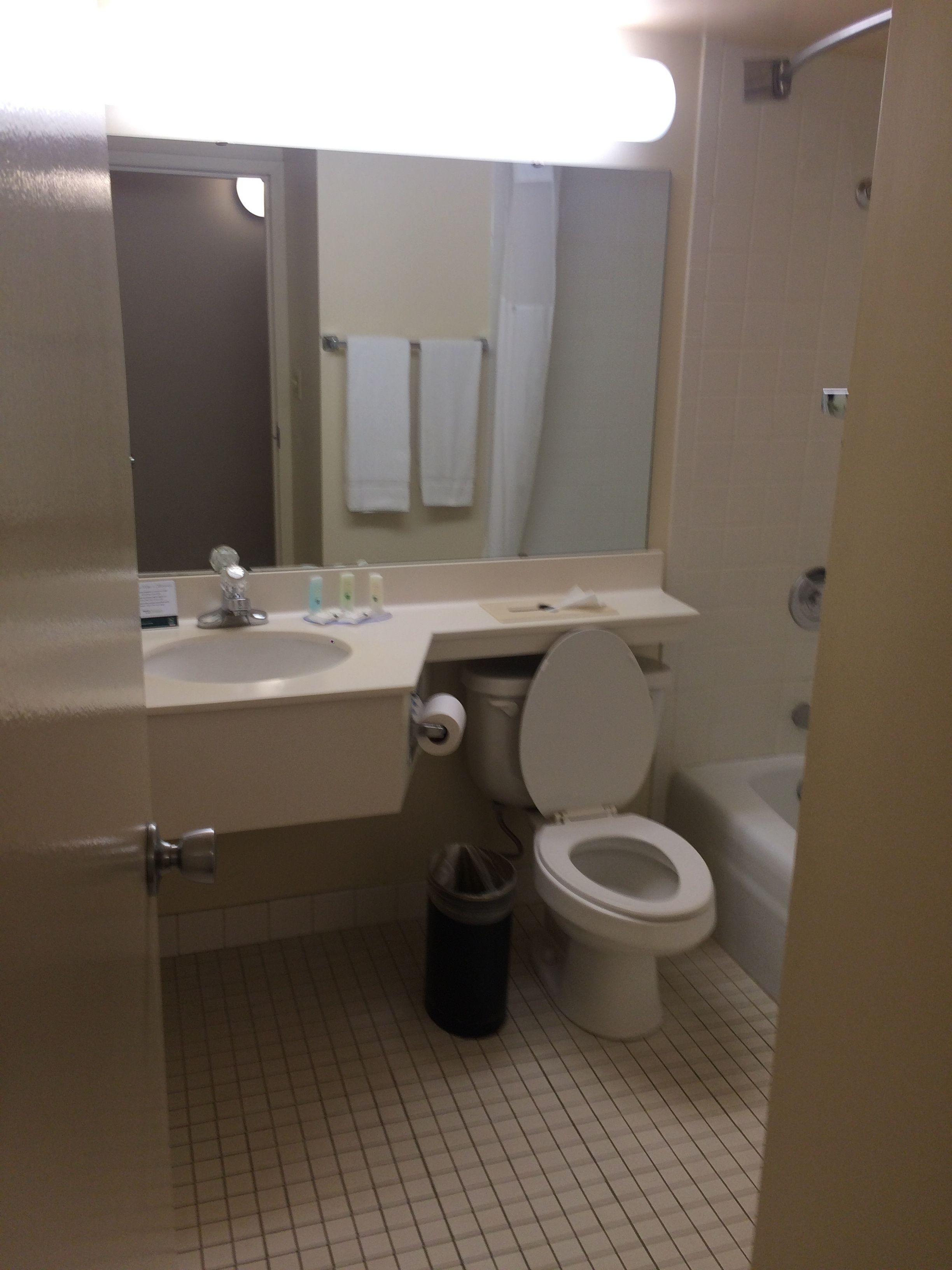 Een badkamer met toilet, wastafel en spiegel. Er is een prullenbak en een handdoekrek met handdoeken.