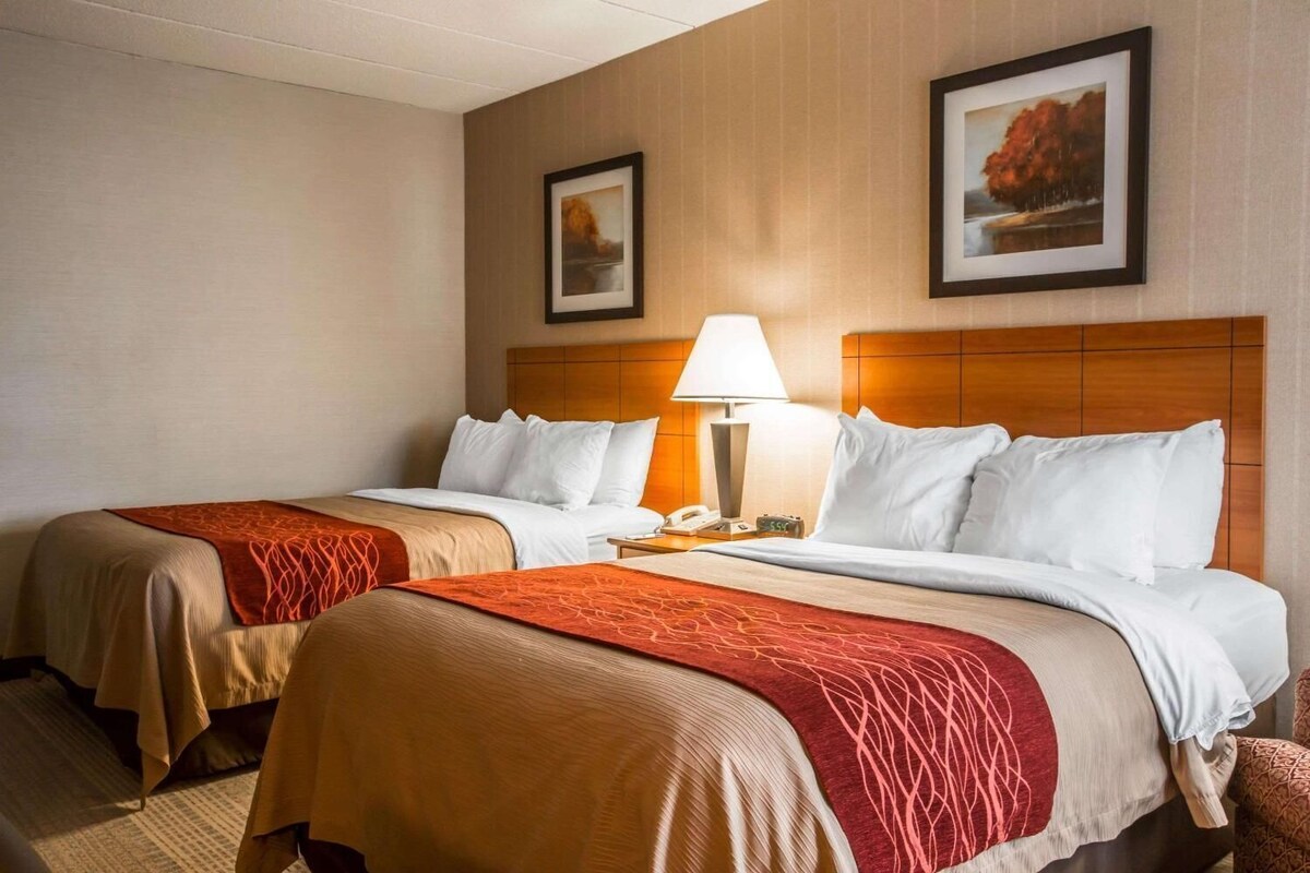 A hotel room with two beds, a nightstand with a lamp, and two framed pictures on the wall.