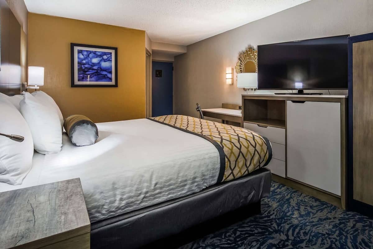 A hotel room with a bed, a desk, a television, and a wardrobe.